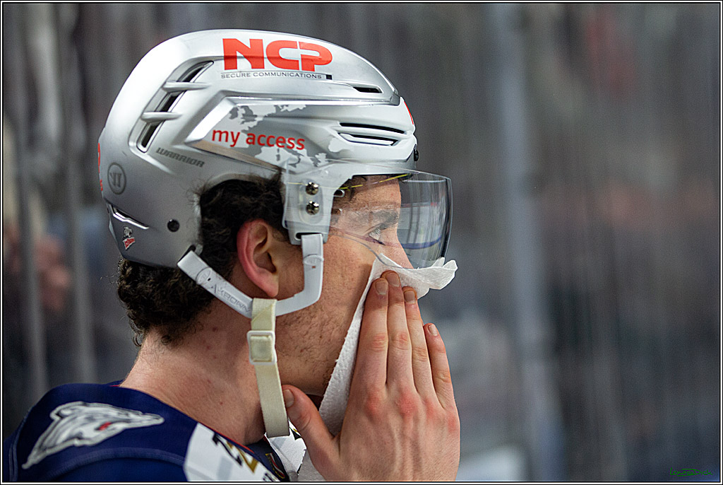 PENNY DEL; Koelner Haie- Nuernberger Ice Tigers; Koeln, 29.01.2023